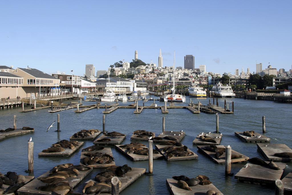 Hotel Zoe Fisherman'S Wharf San Francisco Eksteriør bilde